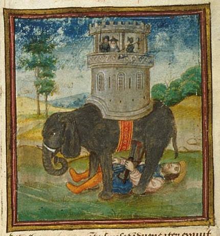 Elephant picture 7